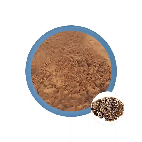 Maitake Mushroom Extract Manufacturer